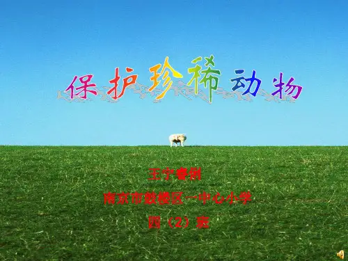 保护珍稀动物ppt课件