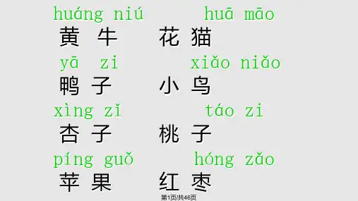 学汉语PPT课件