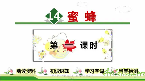 部编人教版三年级下册语文《蜜蜂》教学课件