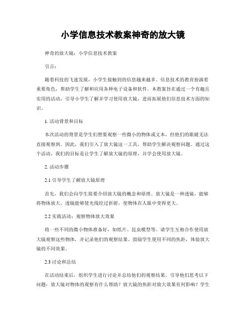 小学信息技术教案神奇的放大镜