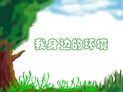六年级品德与社会上册课件PPT 我身边的环境