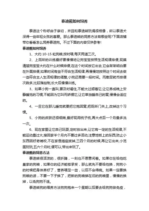 泰迪熊如何饲养