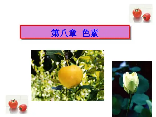 第八章 色素