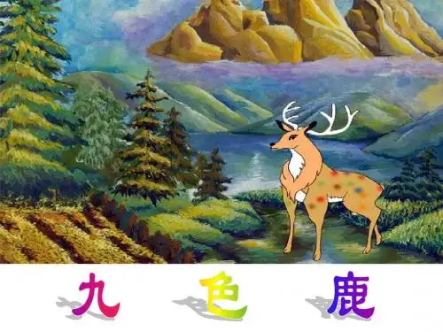 四年级语文上册第21课九色鹿课件苏教版