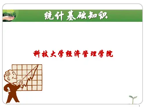 统计基础知识ppt课件