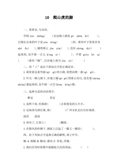 10 爬山虎的脚 同步练习(含答案)