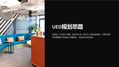 《UED规划思路》课件