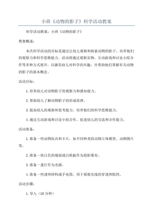 小班《动物的影子》科学活动教案