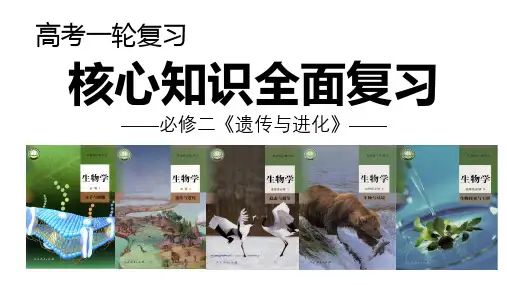 基因表达与性状的关系(含表观遗传)-2023年高考生物一轮复习(新教材新高考)