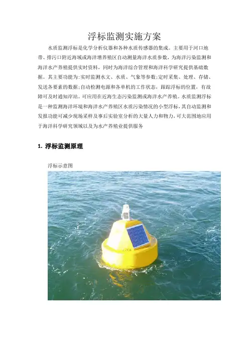 浮标监测实施方案