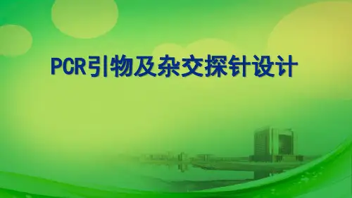 PCR引物及杂交探针设计