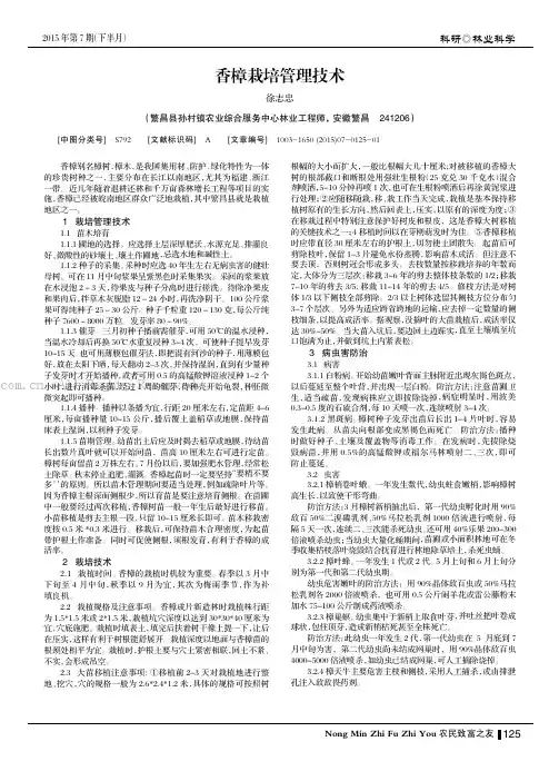 香樟栽培管理技术