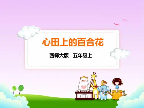 西师大版五年级上册语文 28.心田上的百合花课件