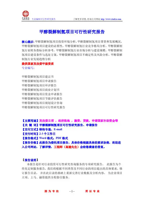甲醇裂解制氢项目可行性研究报告