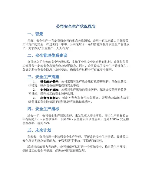 公司安全生产状况报告