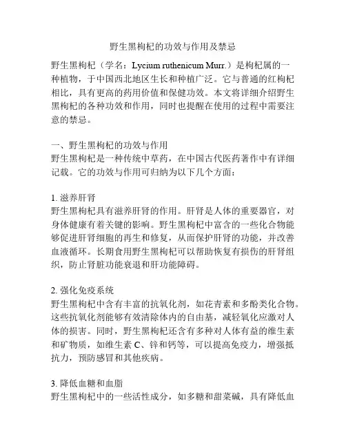 野生黑枸杞的功效与作用及禁忌