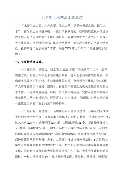 上半年五水共治工作总结