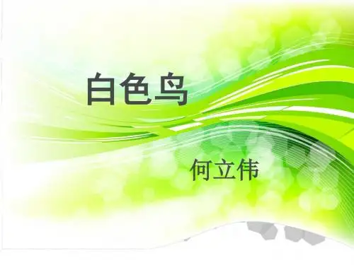 《白色鸟》课件2-优质公开课-鲁教八下精品