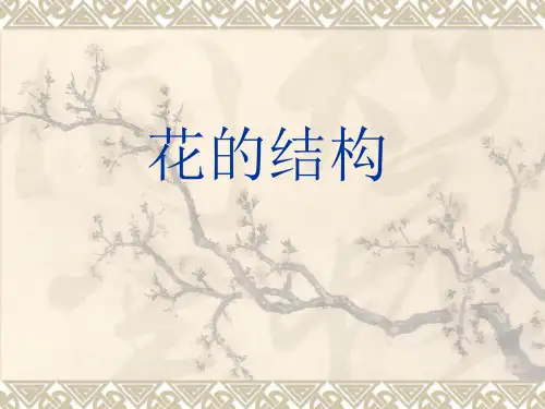 人教版 四年级科学 花和果实单元课件