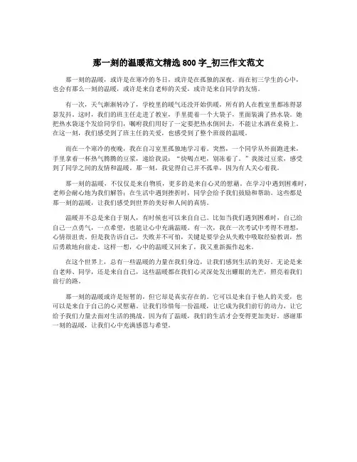 那一刻的温暖范文精选800字_初三作文范文