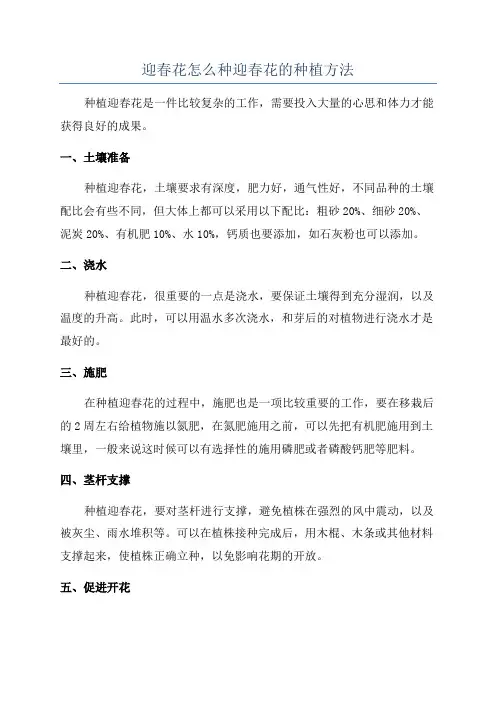迎春花怎么种迎春花的种植方法