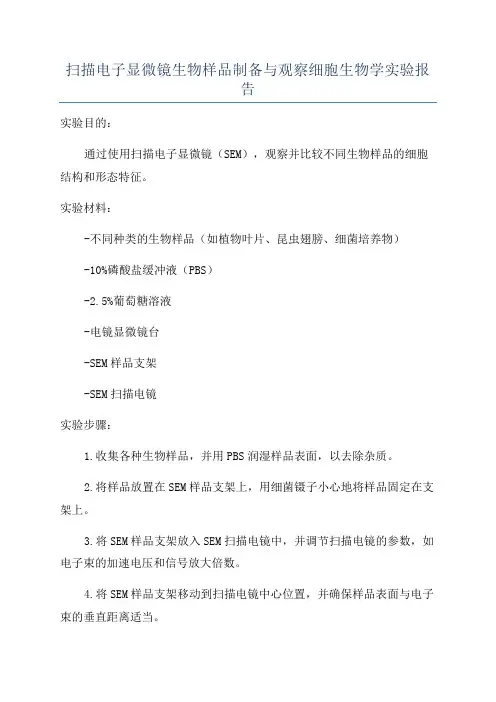 扫描电子显微镜生物样品制备与观察细胞生物学实验报告