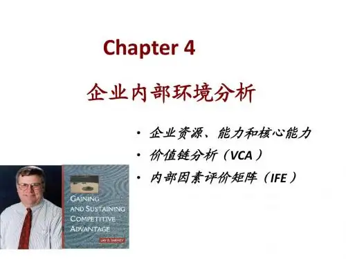 CHAP4内部环境分析(1)