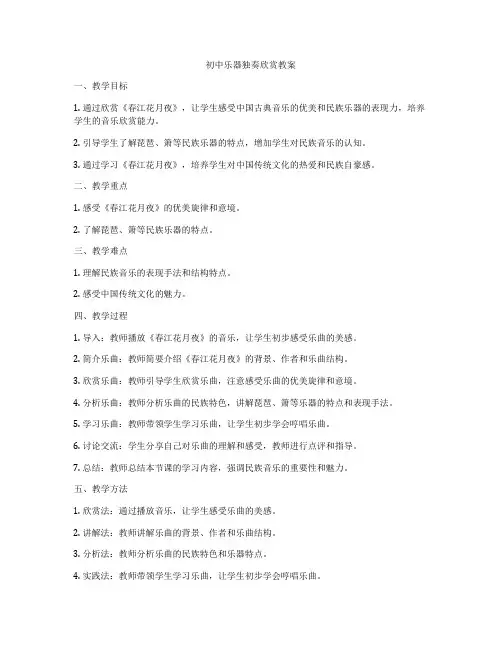 初中乐器独奏欣赏教案