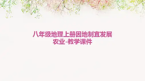 八年级地理上册因地制宜发展农业-教学课件