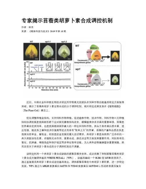 专家揭示苜蓿类胡萝卜素合成调控机制