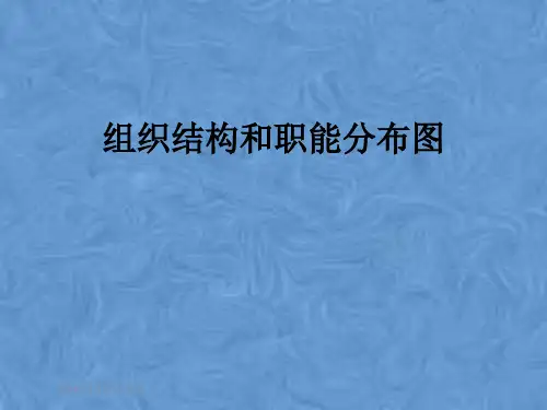 组织结构和职能分布图