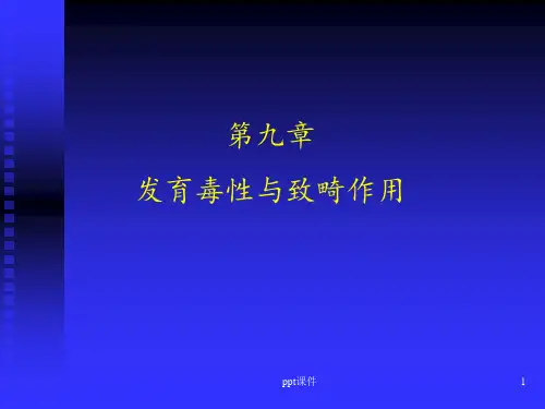 发育毒性与致畸作用  ppt课件