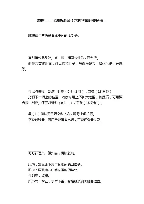 藏医——徐?哲老师（六种疼痛开关秘法）