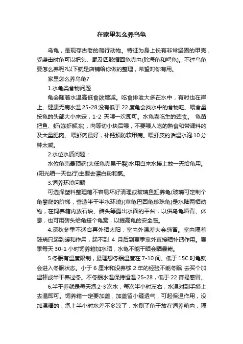 在家里怎么养乌龟