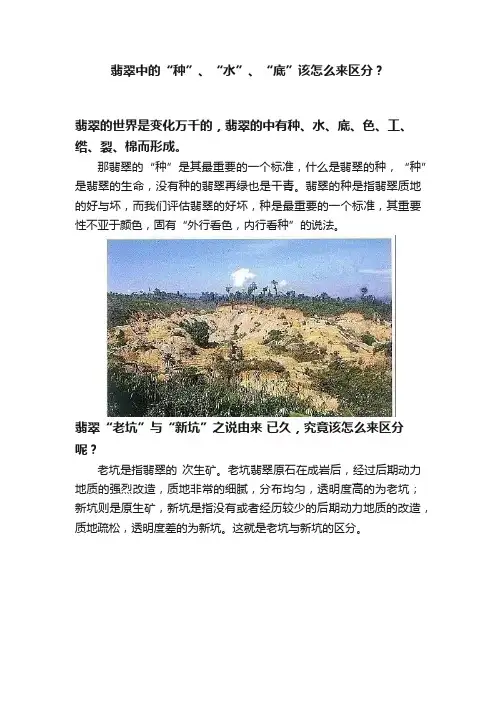 翡翠中的“种”、“水”、“底”该怎么来区分？