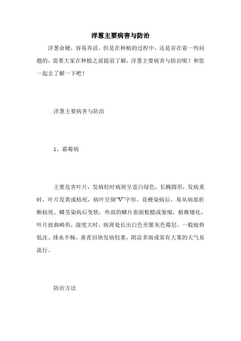 洋葱主要病害与防治