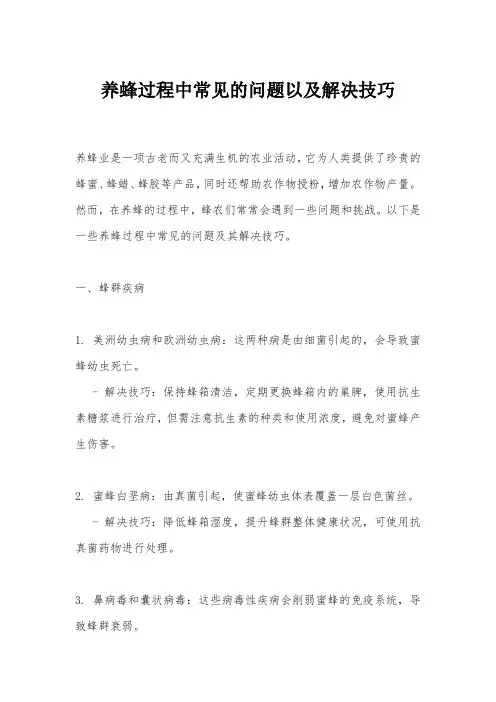 养蜂过程中常见的问题以及解决技巧