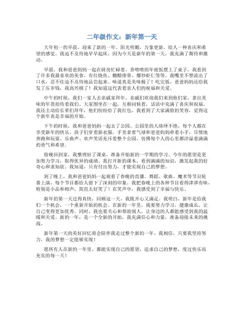 二年级作文新年第一天