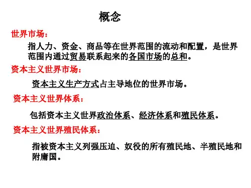 专题六资本主义世界市场形成和发展