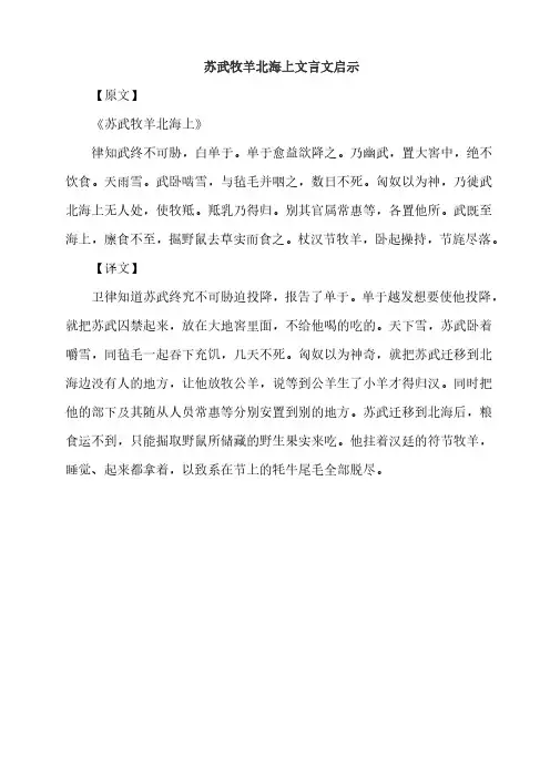 苏武牧羊北海上文言文启示