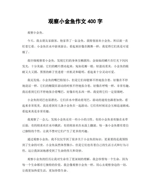 观察小金鱼作文400字