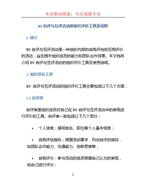 B9自评与互评活动的组织评价工具及说明