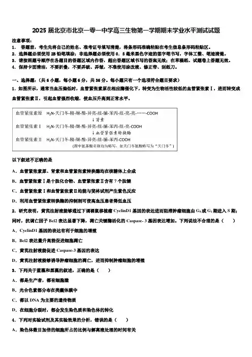 2025届北京市北京一零一中学高三生物第一学期期末学业水平测试试题含解析