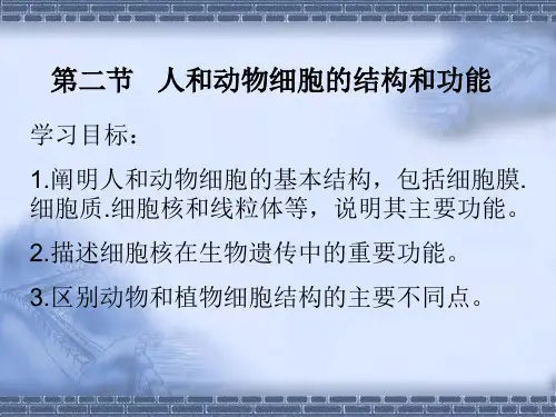人和动物细胞的结构和功能 课件   苏教版七年级生物上册