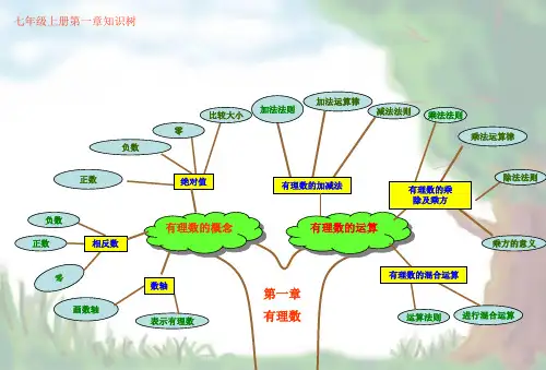 七年级数学知识树