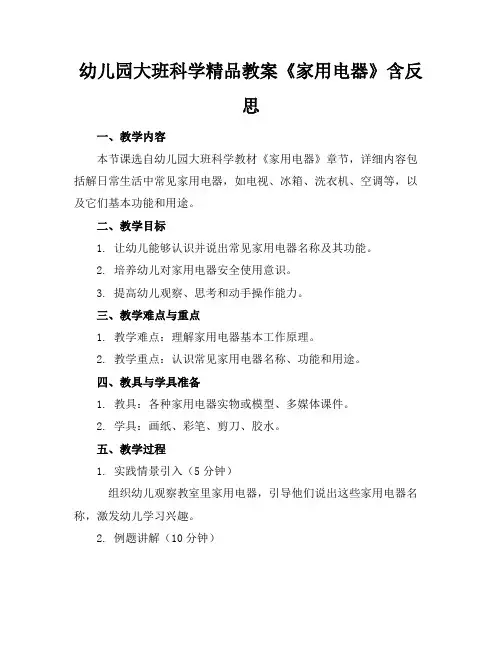 幼儿园大班科学精品教案《家用电器》含反思