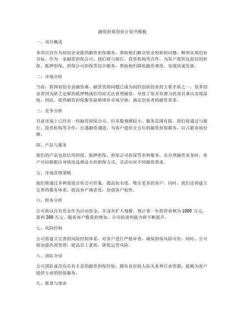 融资担保创业计划书模板