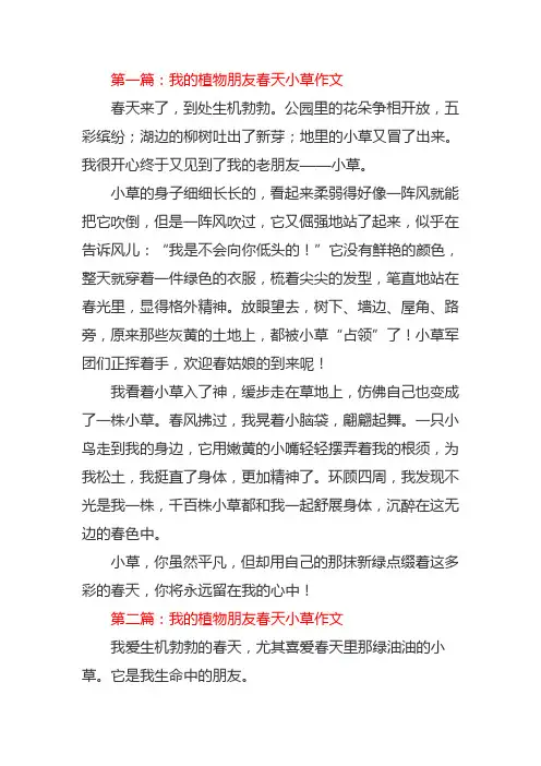 我的植物朋友春天小草作文三年级300字