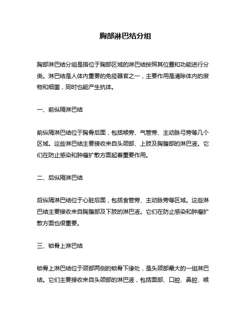 胸部淋巴结分组