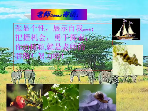 七年级生物下册3.2.2人体内能量的利用优秀初中七年级下册生物